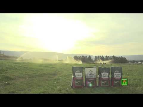Standlee Premium Western Forage® Pellet Products: Information & Feeding Instructions