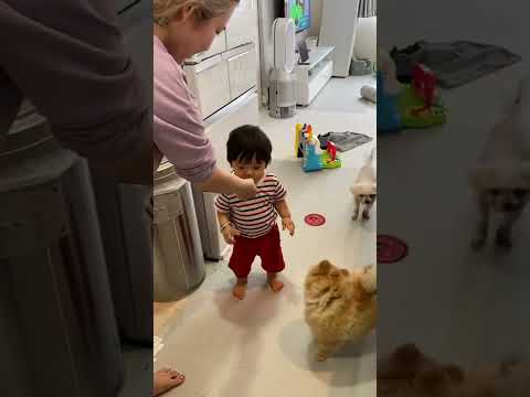 みんなでオヤツタイム👶🏻🐶