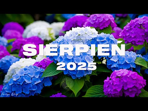 Eska Hity Sierpień 2025 * Najnowsze Przeboje z Radia Eska 2025 * Najlepsza radiowa muzyka 2025 #97