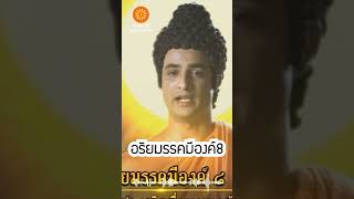 คำสอนพระพุทธเจ้า | EP84.อริยมรรคมีองค์8