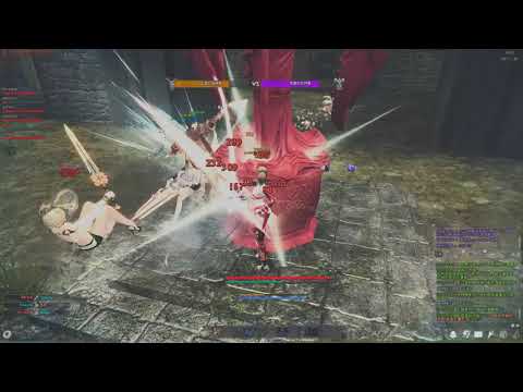 Vindictus PVP Siege  新瑪奇英雄傳 鞭子