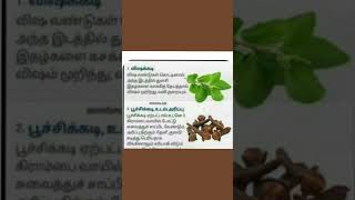 #Shorts#Clove#Thulasi##