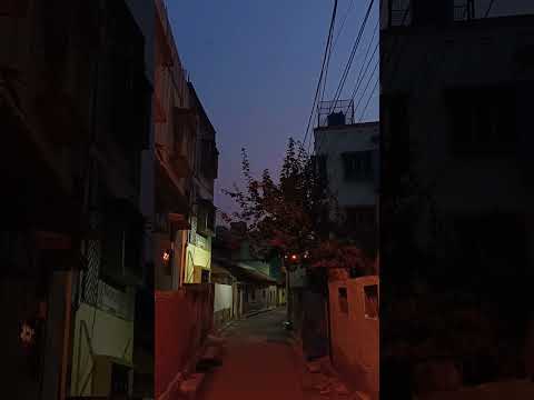 Scenes from a summer evening in Calcutta