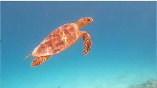 Explore Maldives with us