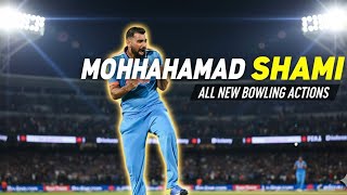 Mohammed Shami All Stumps Flying Delivery 💯✅🎉#cricket #bowling #teamindia #mohmmadshami  #trading