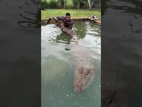 Best caption wins Nile croc aura #snake #dothingsyoudontwanttodo #theothersideofmakebelieve