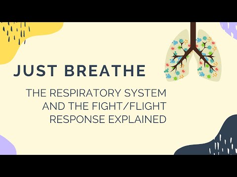 The Respiratory System, the Fight or Flight Response and Pranayama