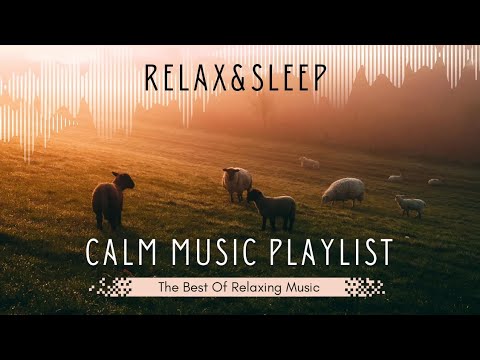 Sleeping music | Relaxing Music | Stress relief music | Calm Music 🎶 #sleepmusic #calm #meditation
