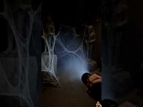 Hidden Treasure and Mysteries in the Dark