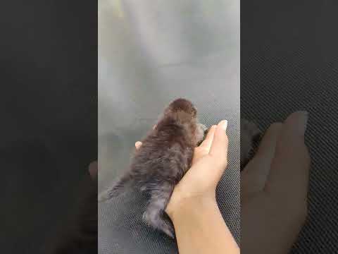 he is not happy