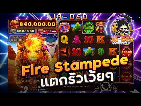 Fire Stampede™เกม ใหม่ PP วัวไฟแตกตื่น แตกรัวรัว