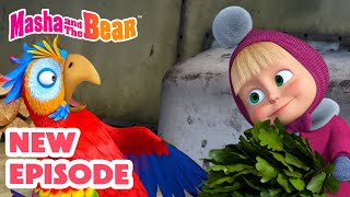 Masha and the Bear 2025 🎬 NEW EPISODE! 🦜 It's no Slice of Heaven 🎩👀 🎬 Best cartoon collection