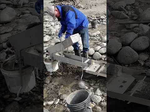 The Pay Pile Feeding Modified Gold Hog Mini Highbanker