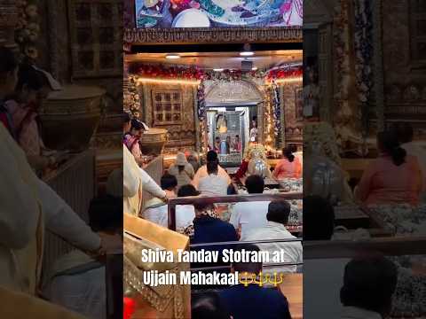 Ujjain Mahakaal Temple Bhasma Arti shiva Tandav Stotram🔱#mahakal #shiva #mahadev #ujjain#viralvideo