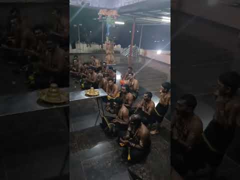 Ayyappa Swamy Bhajana 🙏🙏🙏 #ayyappa #ayyappaswamysongs #sabarimala #devotional #devotionalsongs
