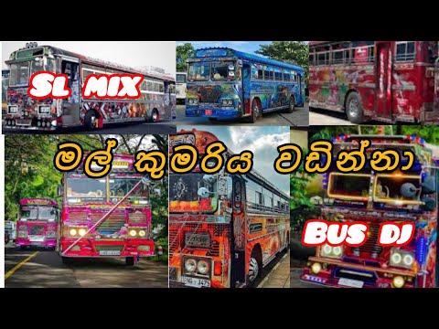 සැපට🕺 නටන්න 😄#bus#automobile#sl#dj#busdj#srilankanbusdj#1million#video#1k#slmix