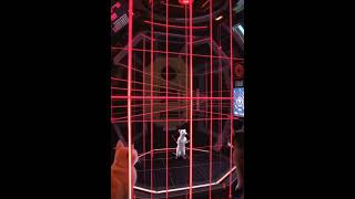 Mouse vs. Laser Cat Trap! 😱🐭🔴#cat #mouse