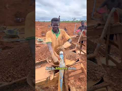 The Shocking Way Small Miners Hunt for Gold in Brazil#Knowledge #GoldMining #Brazil