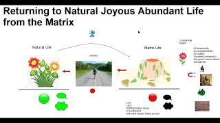 Returning to Natural Joyous Abundant Life from the Matrix
