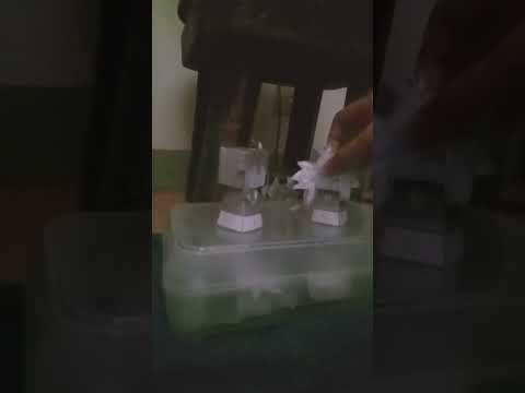 THE CATTUH IS VERY CUTE