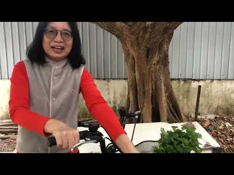元朗🇭🇰生活｜出走一年，返回香港啦！瞓醒去幫趁林師奶買菜🥬
