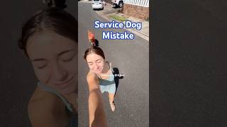 Service Dog Mistake?! #workingdog #servicedog #dogtraining