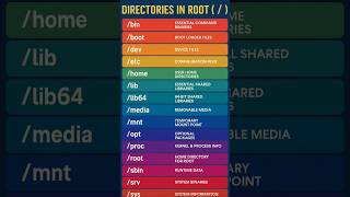 Default directories of Parent / Filesystem #linux #shorts