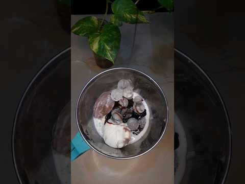 BlackForest IcecreamShake|#blackforest|#icecream|shake|#SparklewithShorts|#fillthetummy|#ytshorts