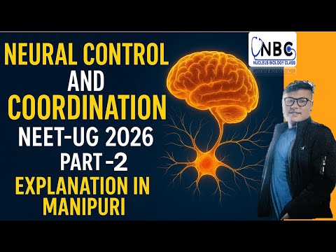Neural Control and Coordination || Part-2 || Online NEET UG Foundation Course #ncert #neet