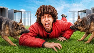 تحدى البقاء على قيد الحياه مع أشرس كلاب فى العالم 😱 ( مقلبت أخويا ) 🤕 !!