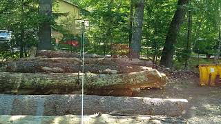Parbuckling logs up onto the pile.