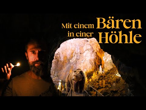 Rumäniens ältester Bär - Die Bärenhöhle Pestera Ursilor in Rumänien