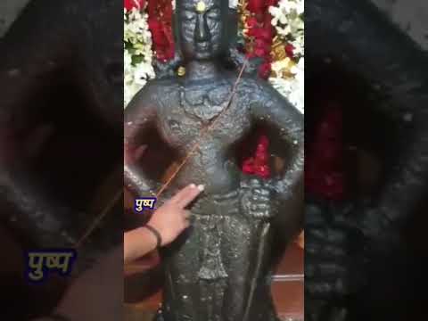 Live Darshan | Shri Vitthal | Idole Marks | Vishnu Shiva Datta