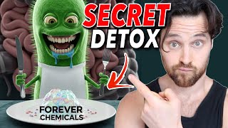 Forever Chemicals - The Secret to Eliminating Them May Be in Your Gut Microbiome
