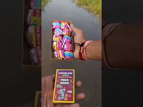 Diwali cracker testing video 2025 ☣️ #shorts #diwali #experiment #viral #fireworks #testing2025