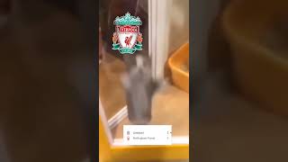 north west Derby teams right now #epl #liverpool #manchesterunited #manchestercity
