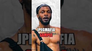 JPEGMAFIA - what the hip hop hell is this? (Sample Breakdown)