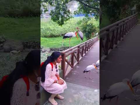 Our Malaysia trip 2023 #langkawi #malaysia #travel #reelsinstagram #travelvlog #traveling #reels