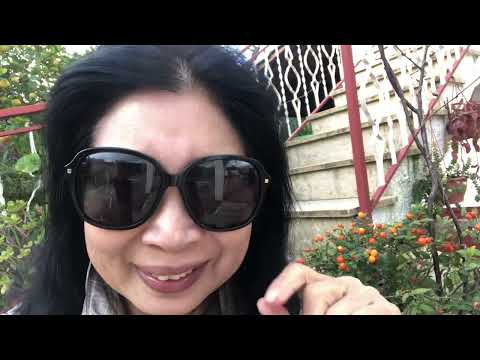 60s亞嫲｜長時間 孤寂 可令人心理唔平衡😓😓西西里打工換宿 遇上怪host🤦🏻‍♀️🤦🏻‍♀️