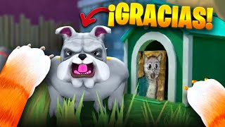 GOODBYE GRANDMA! The Builder Michi helps the dog 🔥 I AM CAT VR