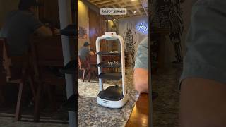 Robot Server #robotserver #japaneserestaurant #shorts #fyp #foryou #happyminds