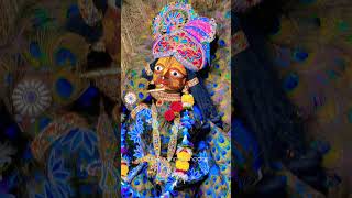 Govinda #radhadamodar #vrindavan #love #barsana #kartik #kartikmass #damodar #radha #darshan #bhakti