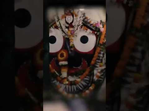 Shri Jagannath Puri Rath Yatra | jai shree Krishna #jagannath #krishna #shorts