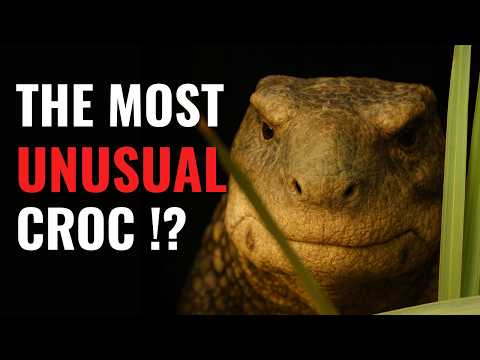 When Crocodiles Became Plant-Eaters | Science Documentary About Simosuchus