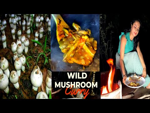 Natures Gift Coorg Wild Natural Mushrooms Curry Cooking In Traditional Woodfire & Clay Pot in Nature