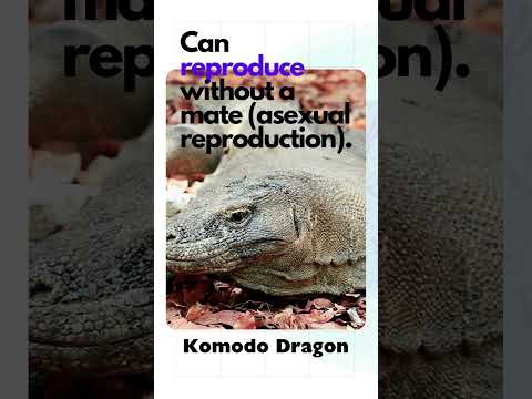 Organisms With Unique Genetic Traits
