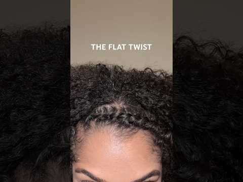How to Flat Twist ? Still relearning but this was my best try in years! #flattwist #twistout #curls