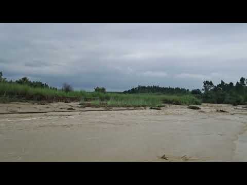 Heavy rain in Hoshiarpur | Moonsoon season | 
