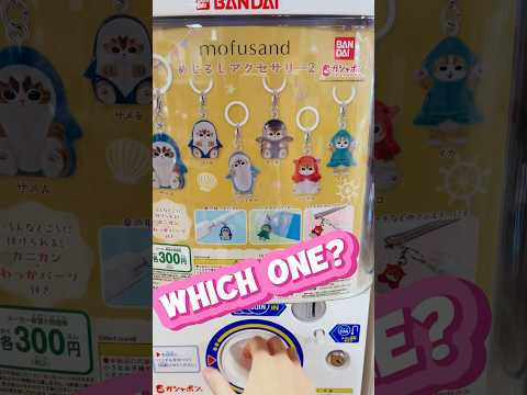 Mofusand Capsule Toy! 🤍 Keyring Japan