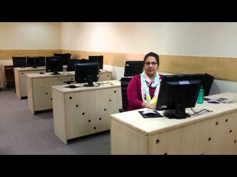 SAP BASIS Consultant